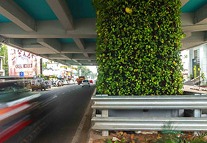 Vertical Gardens
